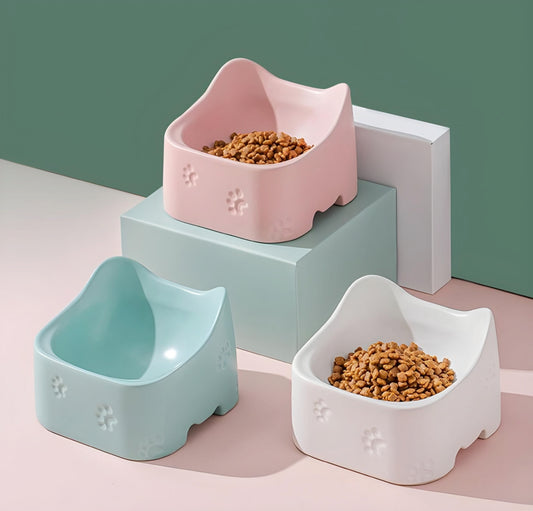 Ceramic Bowls for Pets: Safe Stylish and Practical