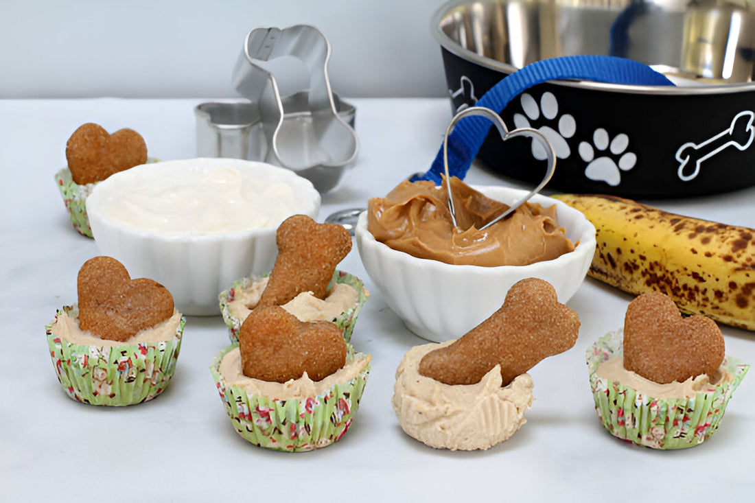 homemade dog treats