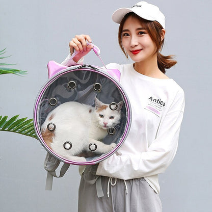 Transparent Breathable Pet Backpack