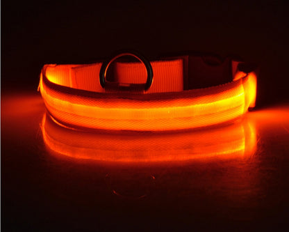 Nylon LED Luminous Pet Collar and Leash