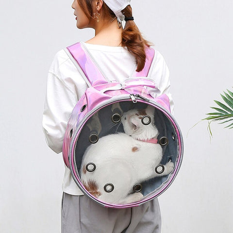 Transparent Breathable Pet Backpack