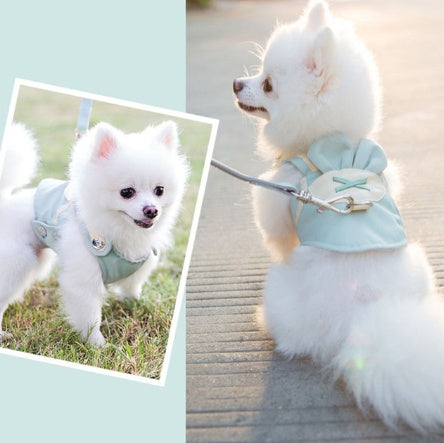 Cute Pet Dog Harness and Leash Set