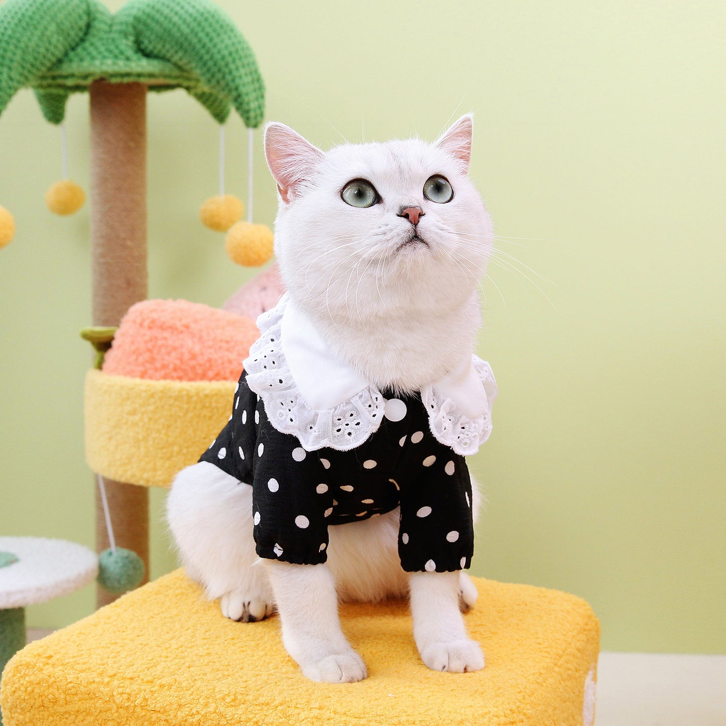 Cat Clothing Flower Collar Shirt