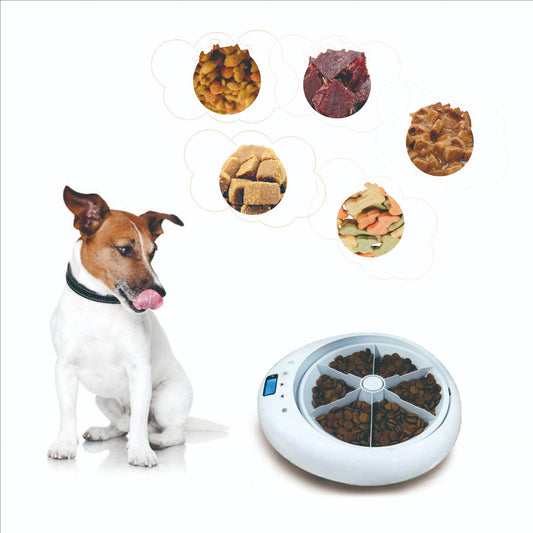 Smart Timing Pet Feeder with Voice Reminder