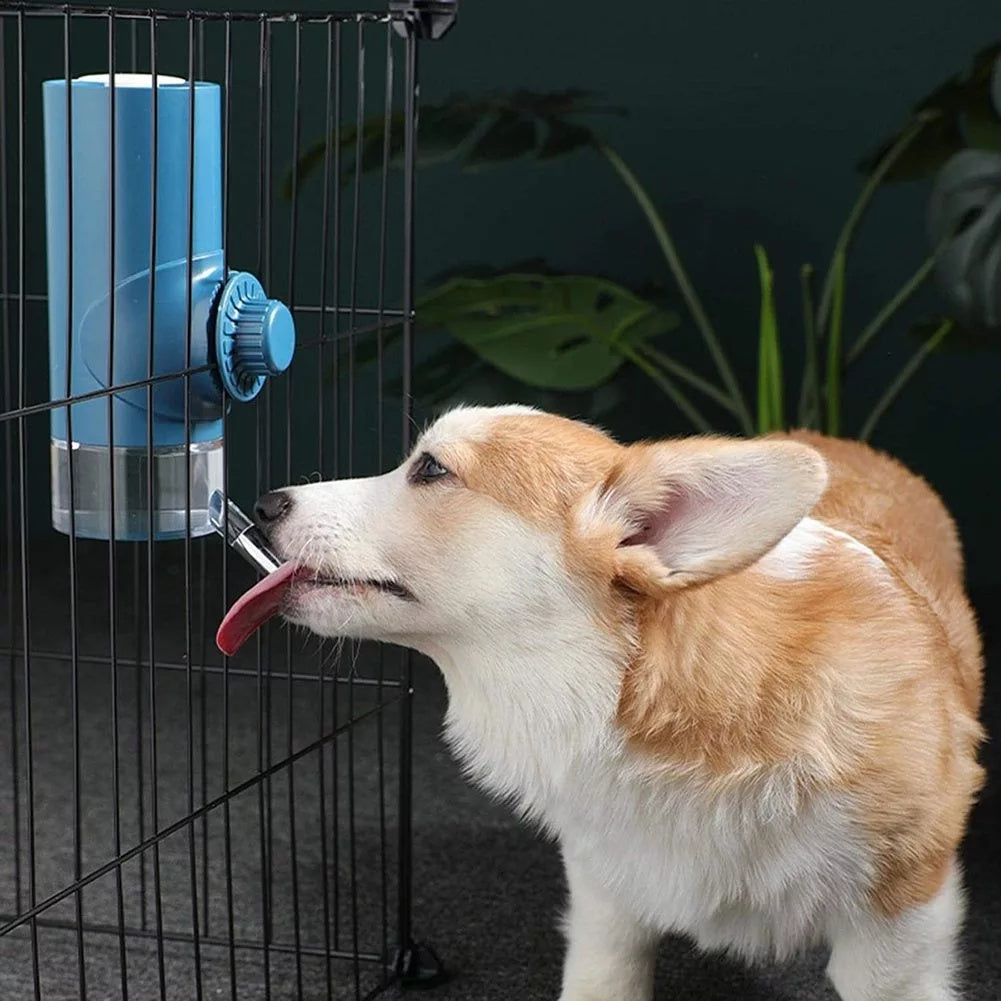 Hanging Pet Water Drinker Ball Feeder