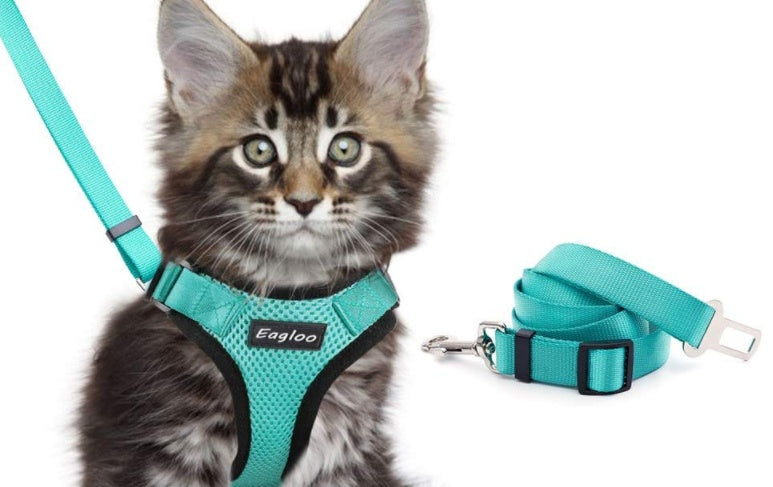 Escape Proof Cat Vest Harness And Car Seat Belt Adapter Adjustable Reflective Cat Harness Soft Mesh Harness For Kitten Puppy