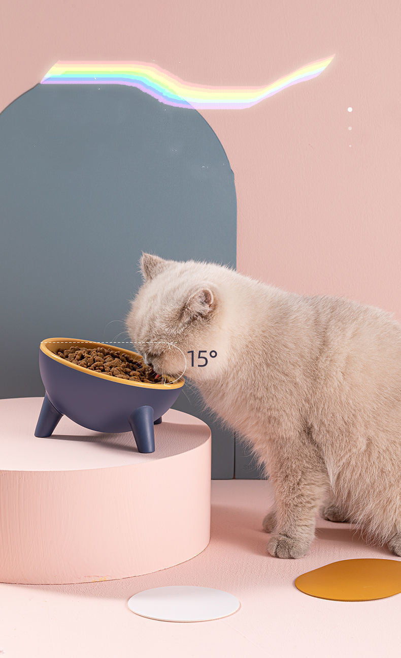 cat feeding bowl with stand