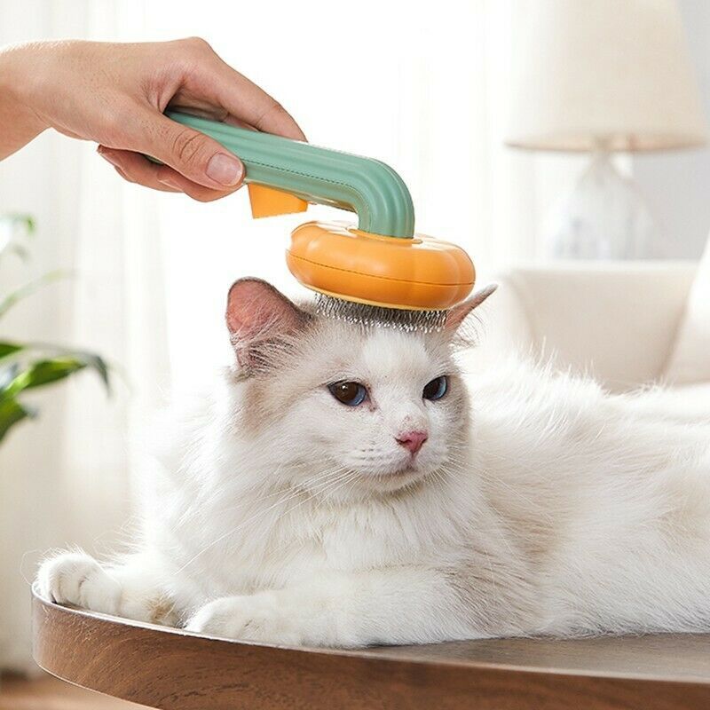 Self cleaning cat and dog Brush.