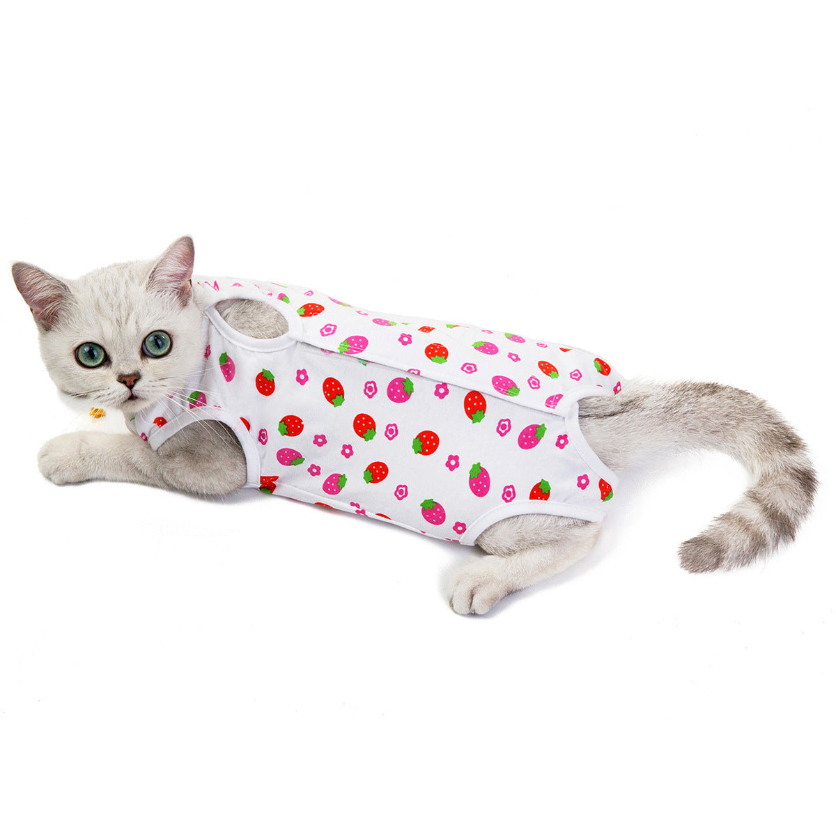 Colorfull Cotton Breathable Cat Vests