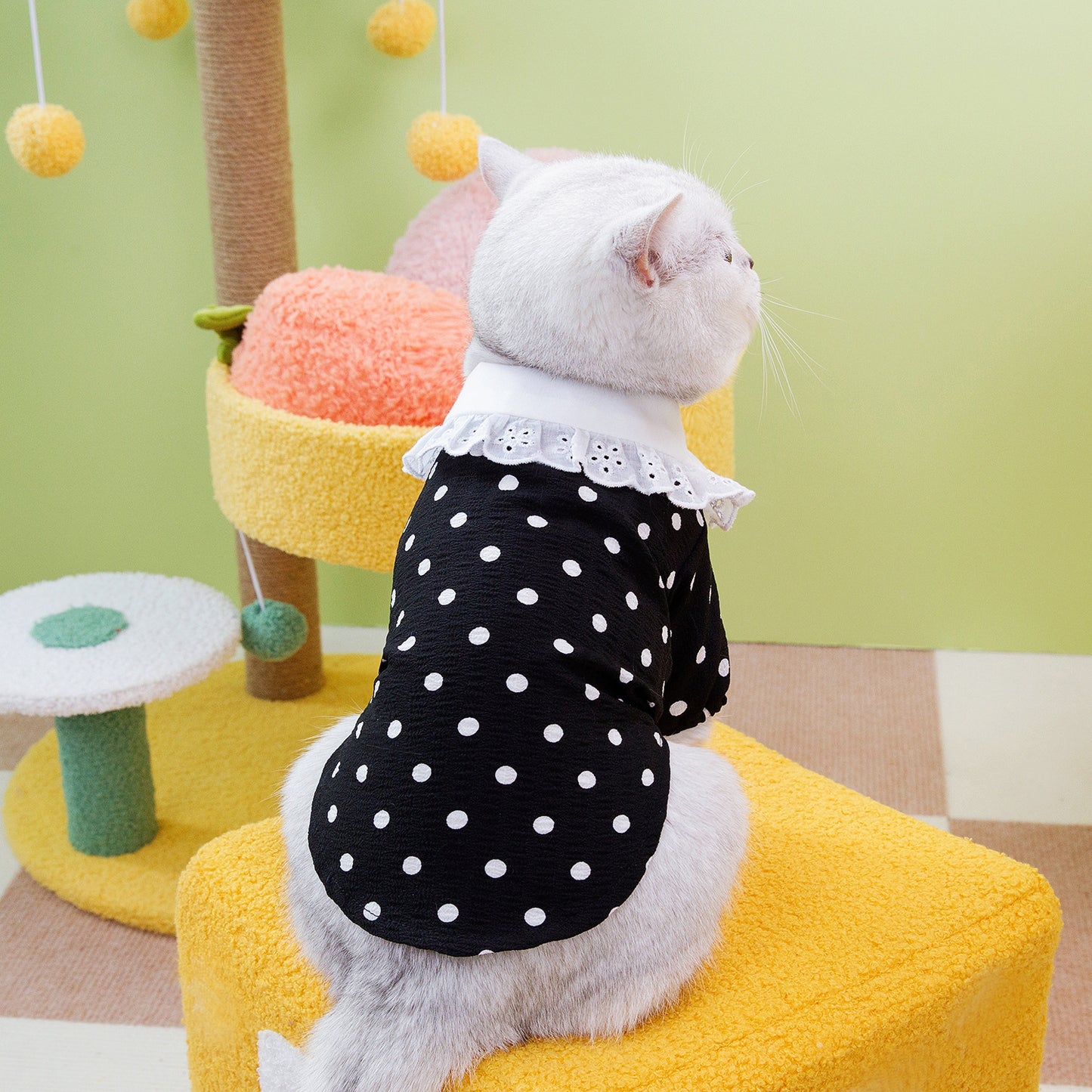 Cat Clothing Flower Collar Shirt