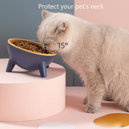 cat feeding bowl with stand