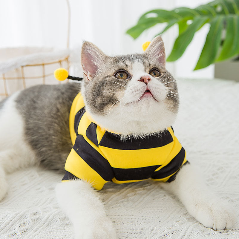 Honeybees Cat Hoodie Shirt