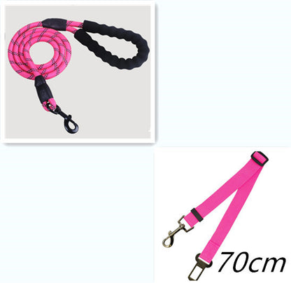 Reflective Nylon Dog Leash for All Sizes