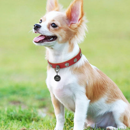 custmizeable cat collar