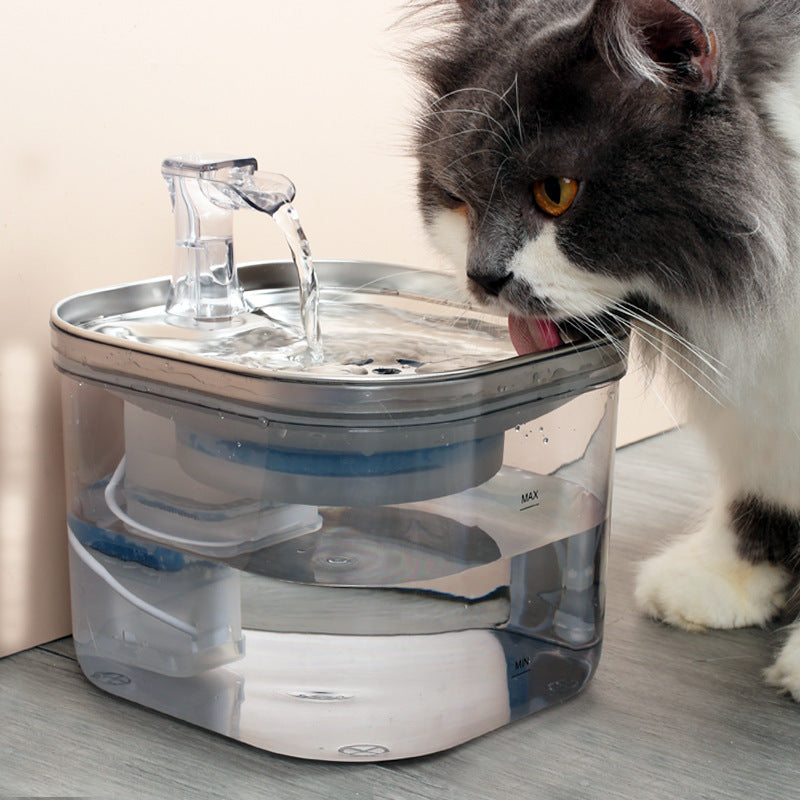 Best Cat Drinking Water Fountain