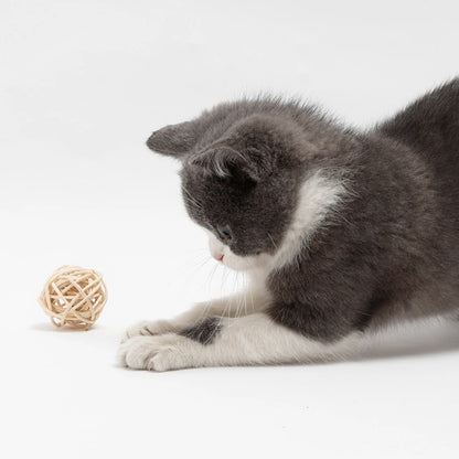 2 piece Rattan Ball Faux Cat Feather Play Ball