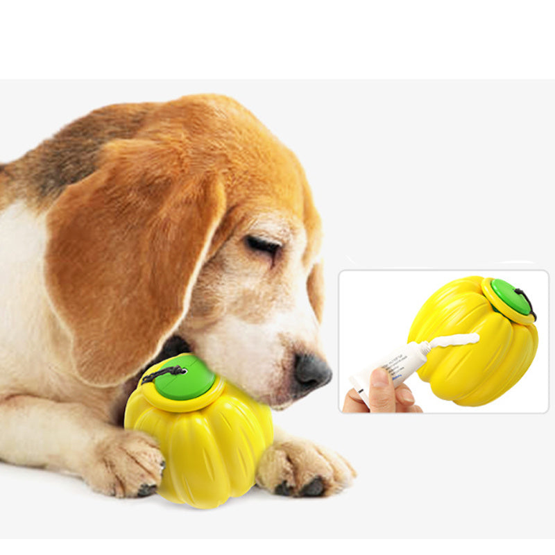 Squeaky Teething and Chew Ball Pumpkin Dog Toy