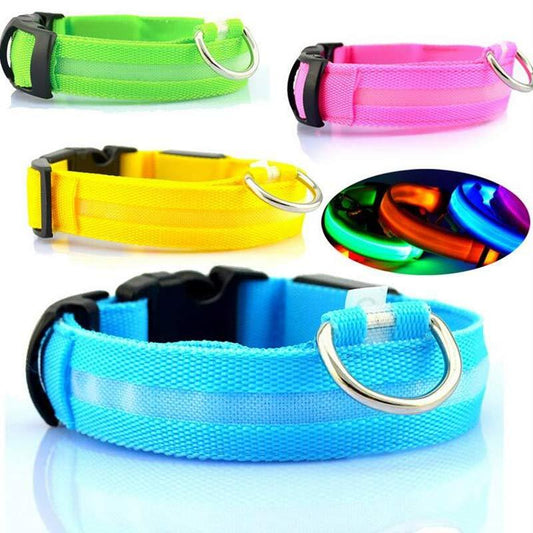 Nylon LED Luminous Pet Collar and Leash