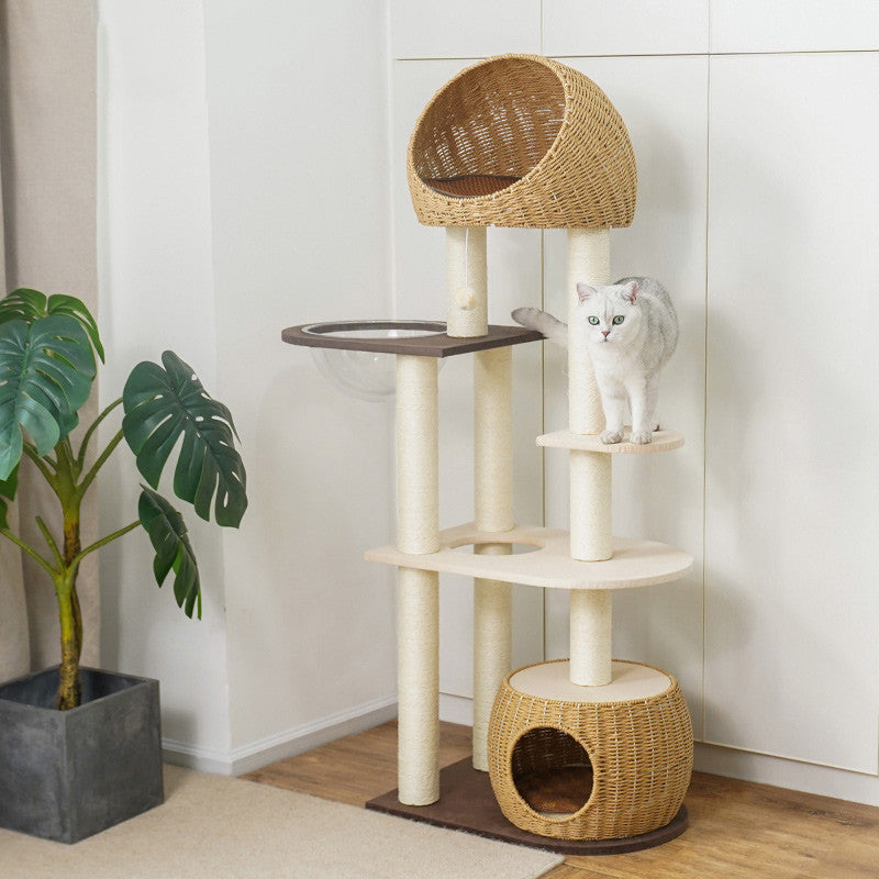 3 tier cat tree