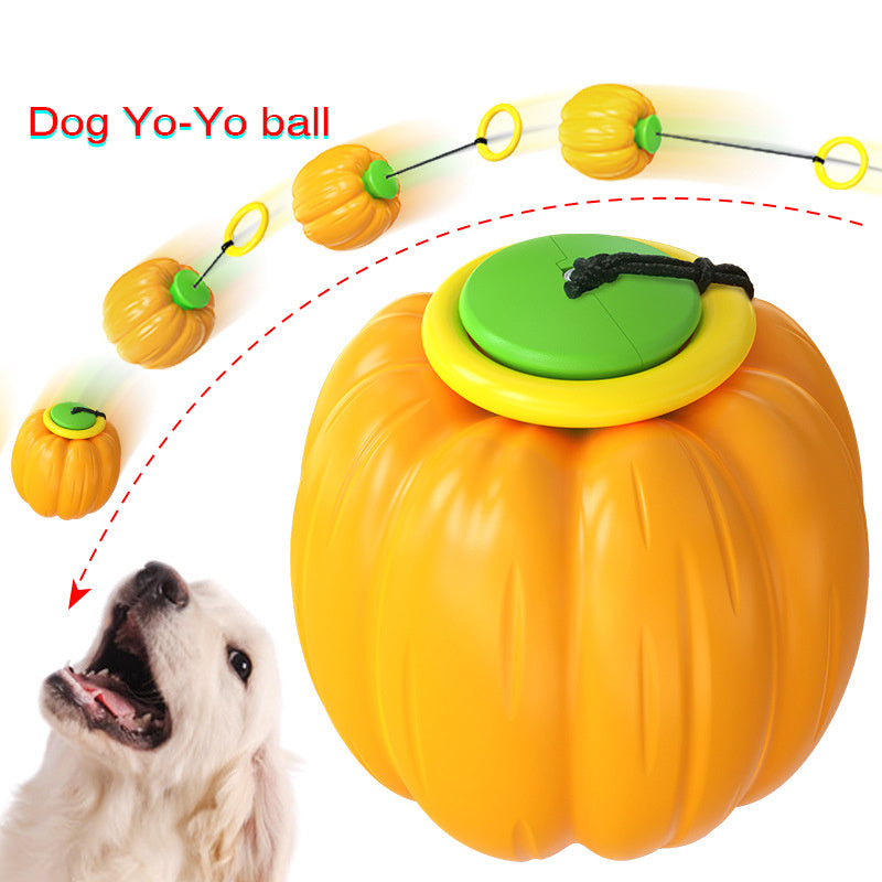 Squeaky Teething and Chew Ball Pumpkin Dog Toy