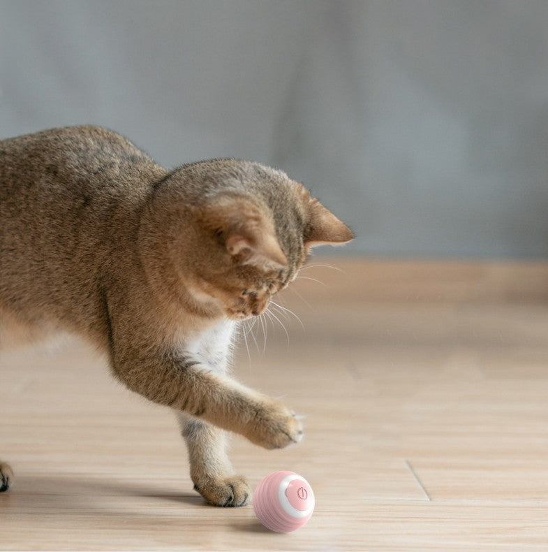 Smart Moving Cat Toy Ball Endless Indoor Fun