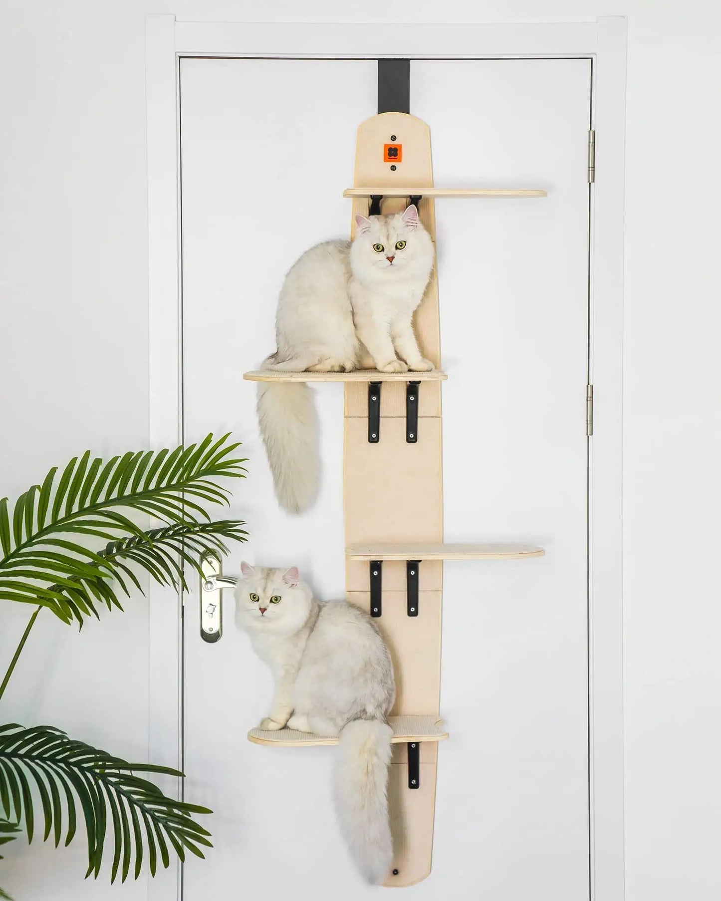 climber door shelves for cats