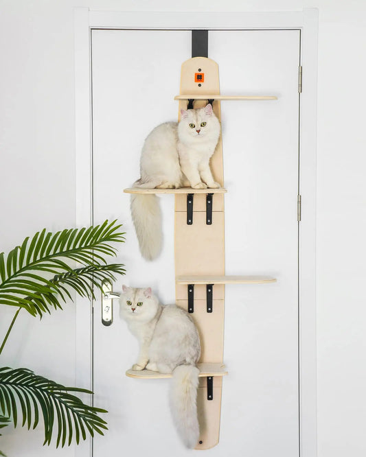 climber door shelves for cats