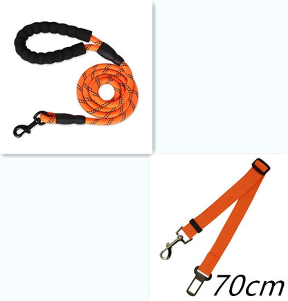 Reflective Nylon Dog Leash for All Sizes