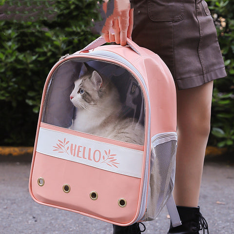 Outdoor transparent Cat Pet Backpack
