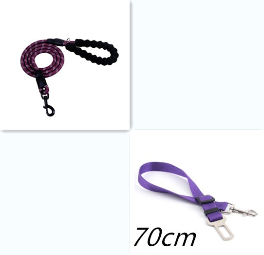 Reflective Nylon Dog Leash for All Sizes