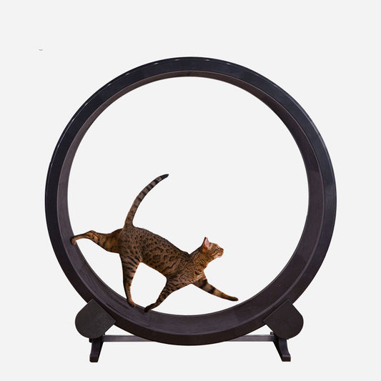 Cat Running Treadmill Wheel Fitness Toys