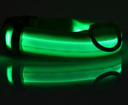 Nylon LED Luminous Pet Collar and Leash