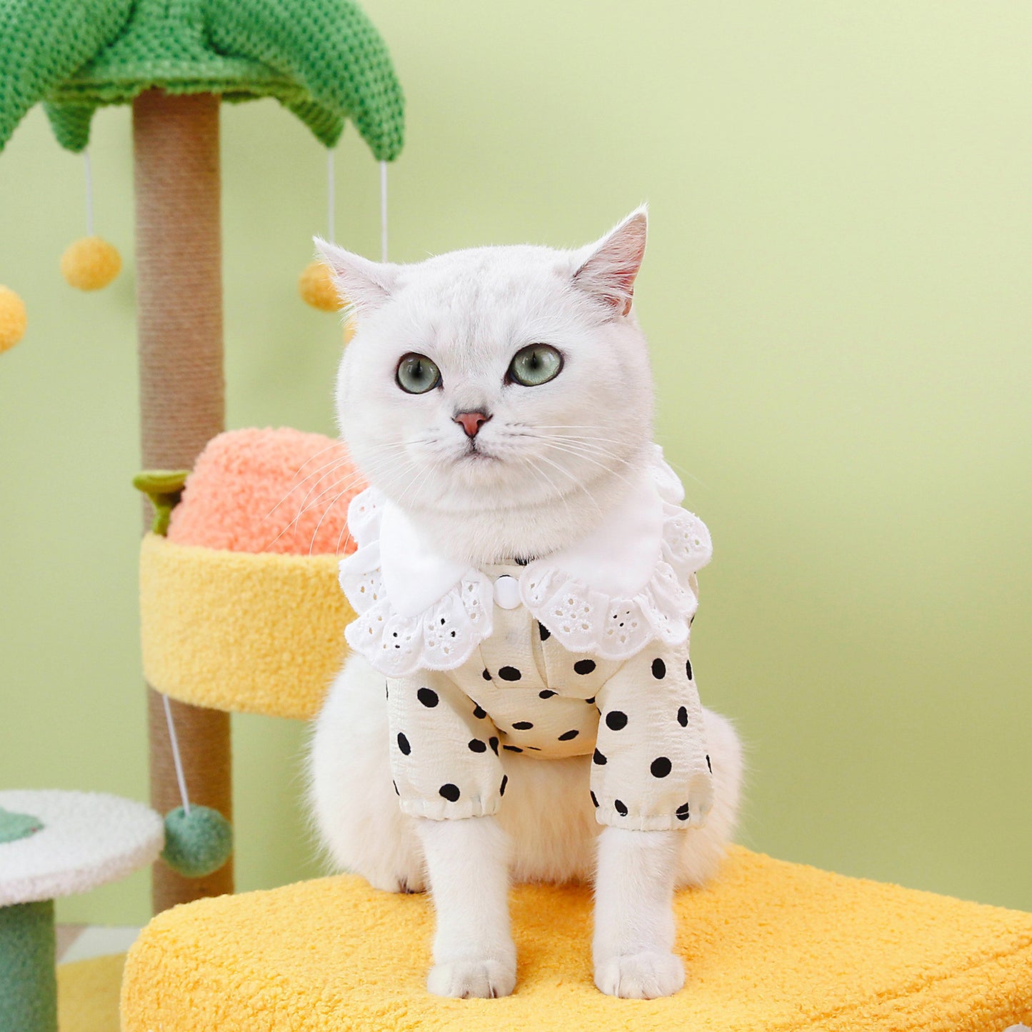 Cat Clothing Flower Collar Shirt