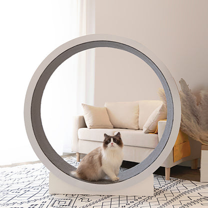 Interactive Cat Running Wheel - Perfect for Fun and Fitness Indoors