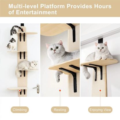 climber door shelves for cats