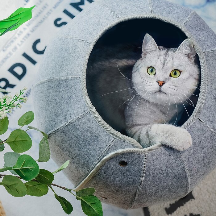 Cat peeking from grey foldable pet tunnel