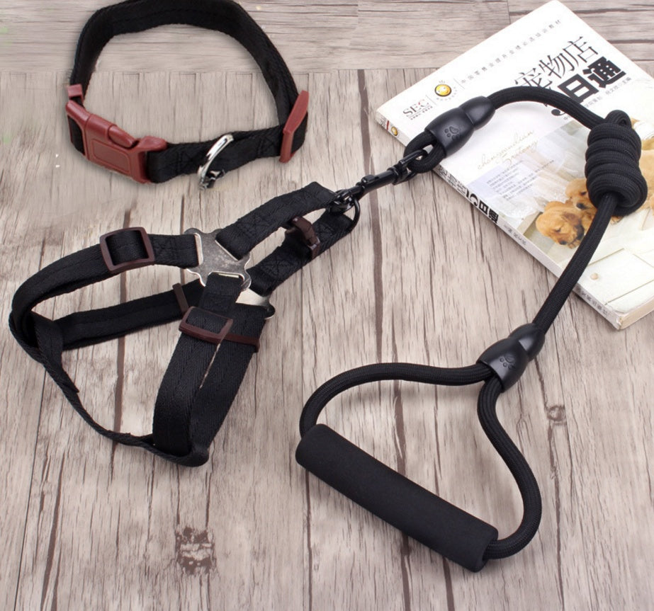 Dog Chains, Collars, and Pet Harness Ropes