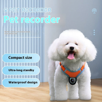 Pet Motion Recording Camera Monitor Dogs and Cats