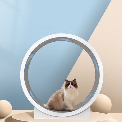 Interactive Cat Running Wheel - Perfect for Fun and Fitness Indoors