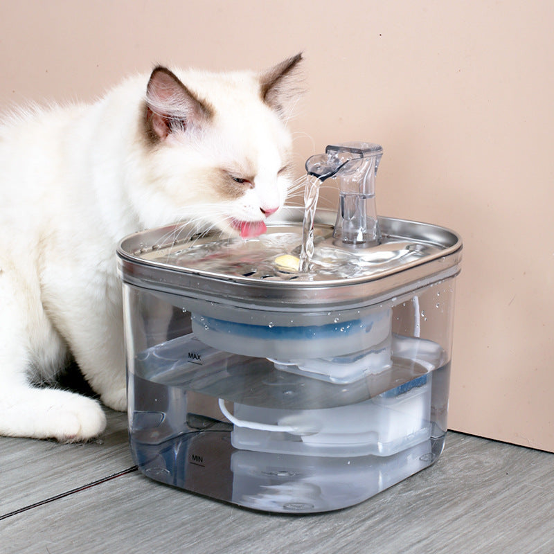 Best Cat Drinking Water Fountain