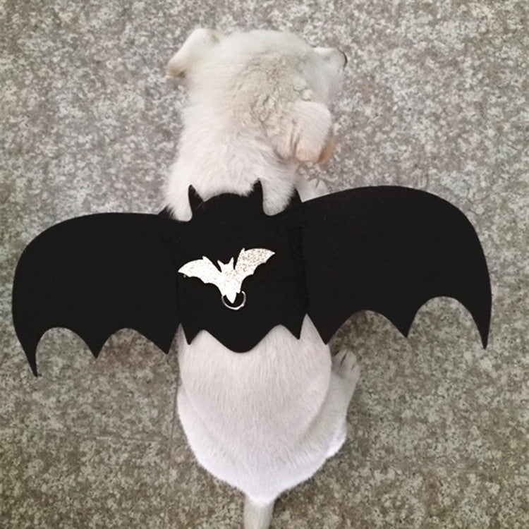 Adorable Halloween dog costumes for small dogs, perfect for parties