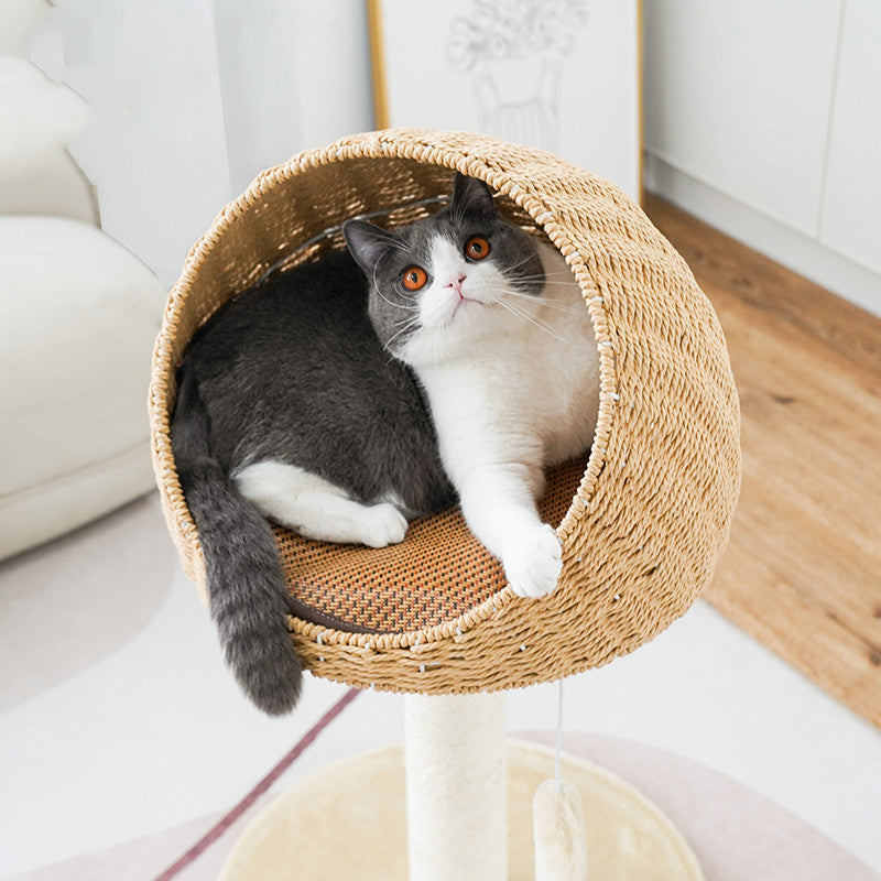 Durable cat tree scratcher for climbing, scratching, and resting