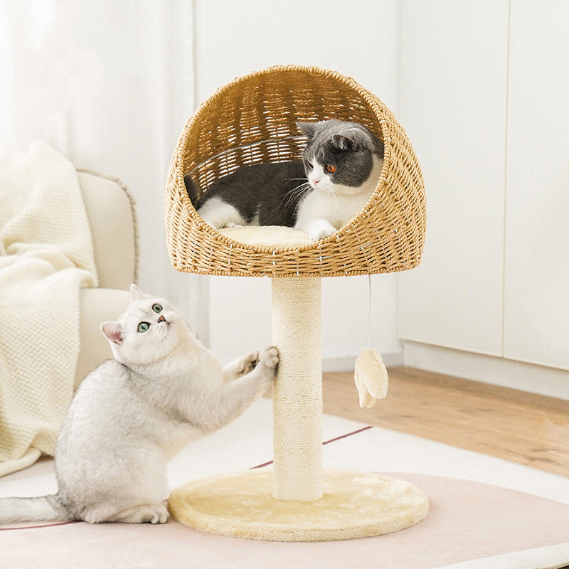 Durable cat tree scratcher, perfect for climbing, scratching, and resting