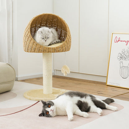 Durable, stylish cat tree scratcher with cozy resting spots