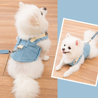 Lightweight, breathable harness perfect for tiny pups