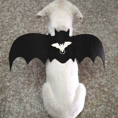 Spooky bat wing costumes for dogs, perfect for Halloween fun