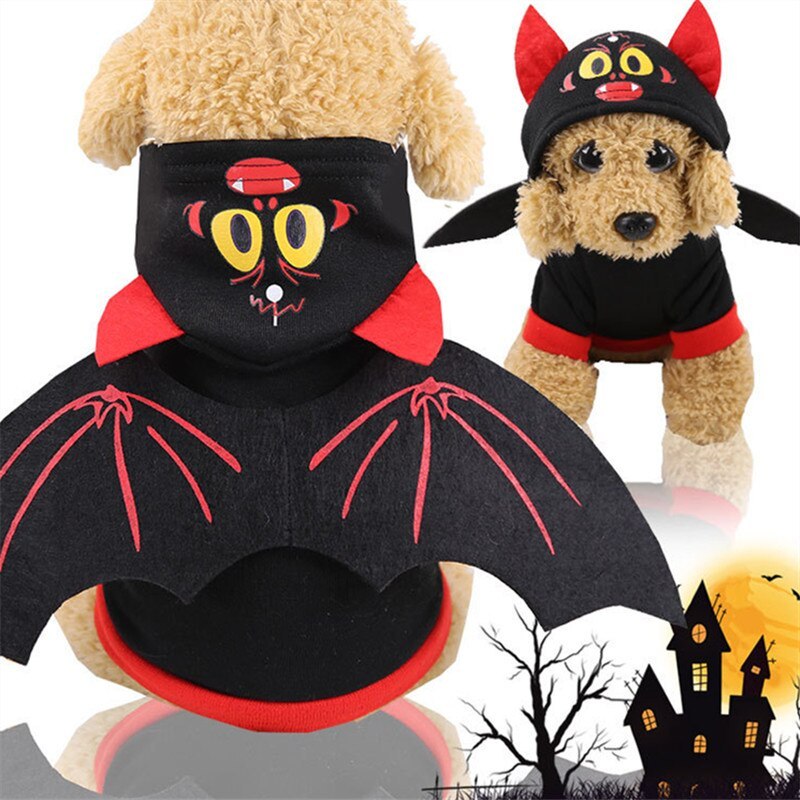 Spooky bat wing dog sweater costume, perfect for Halloween festivities