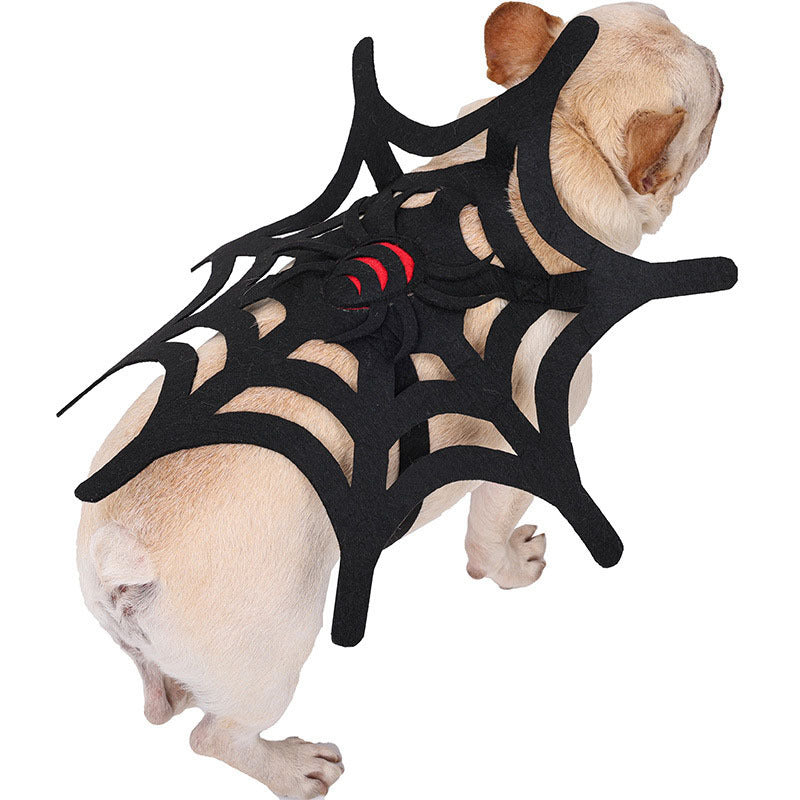 Spooky dog costume for Halloween, featuring a detailed spider web design