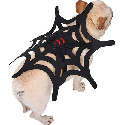 Spooky dog costume for Halloween, featuring a detailed spider web design