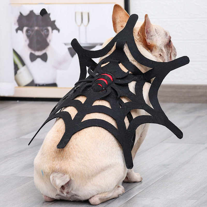 Spooky spider web dog costume, perfect for Halloween celebrations